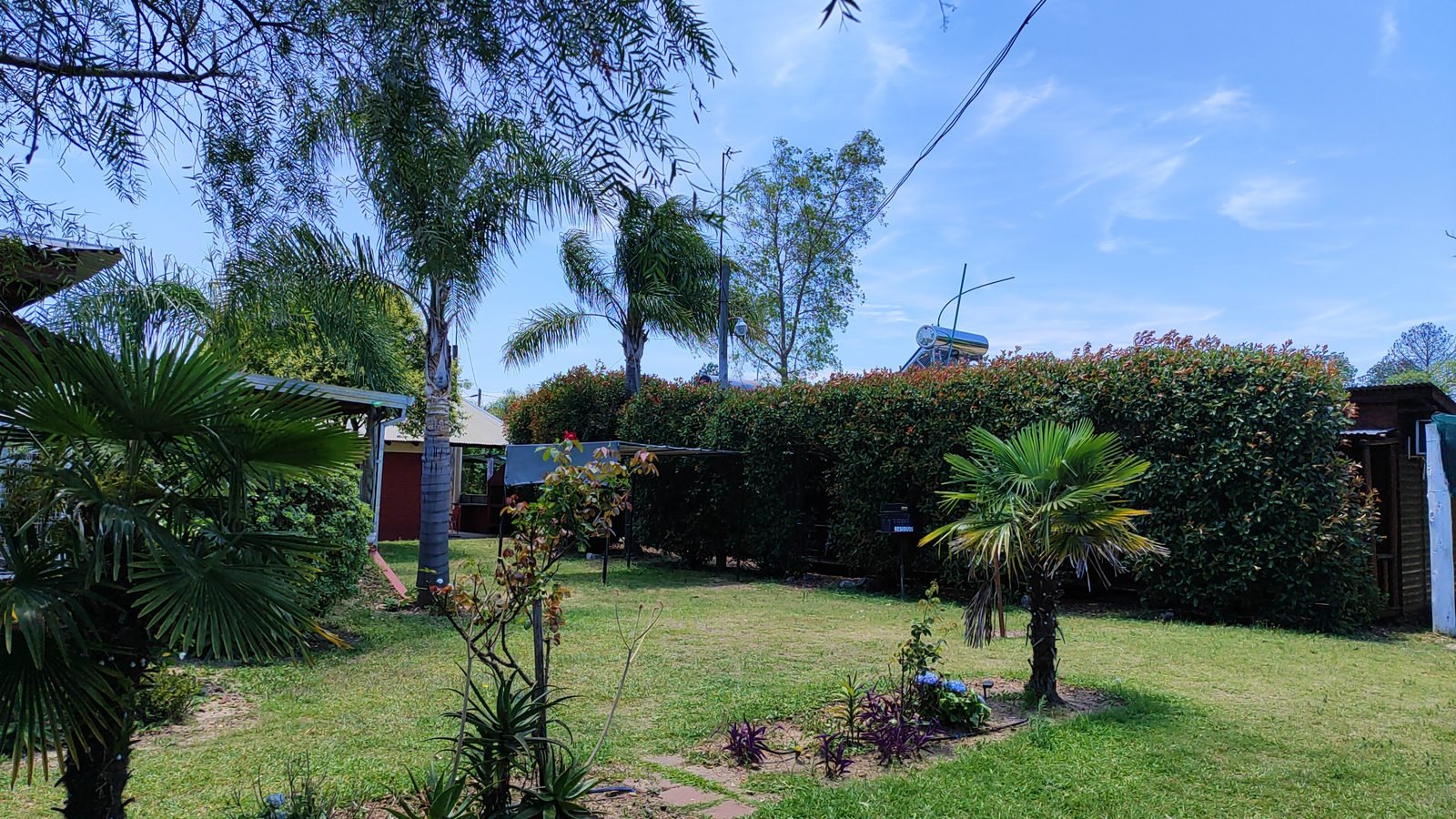Parque verde con palmeras y cabañas del complejo Dakota