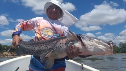 Captura de surubí en el río Uruguay con guía de pesca