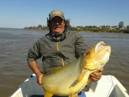 Dorado pescado en el Lago de Salto Grande, Concordia